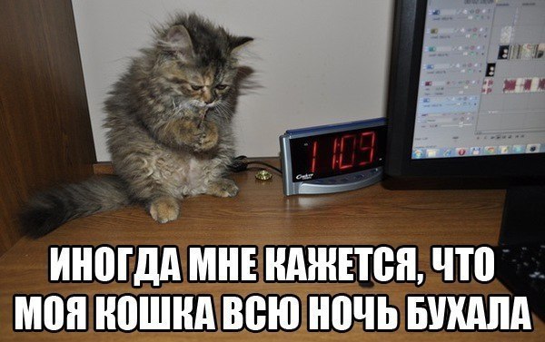 Art & Fun - 5  2014  01:37