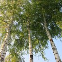 ���� �����, ������ - ��������� 20 �������� 2014 � ������ ���� ����������