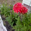 ���� �����, ������, 63 ���� - ��������� 18 �������� 2014 � ������ ���� ����������