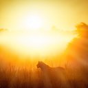 ���� �����, ��������� - ��������� 26 ������� 2014 � ������ ������ ��������