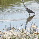 ���� ����������, ������, 58 ��� - ��������� 25 ������� 2014 � ������ ���� �����