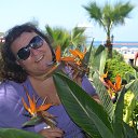 ���� �����, ������� ��������, 44 ���� - ��������� 22 �������� 2014 � ������ ���� ����������