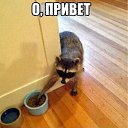 ���� Egor, ������, 38 ��� - ��������� 23 ������� 2014 � ������ ������ ��������