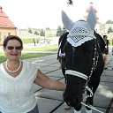 ���� �����, �����������, 73 ���� - ��������� 13 �������� 2014 � ������ ������� 2014 ���