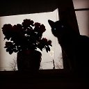 ���� ���, ������, 36 ��� - ��������� 26 ������ 2014 � ������ ������ ��������