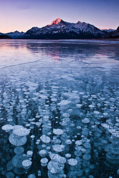  .  (Abraham Lake)     .   ... - 10