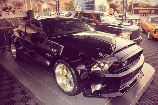 Ford Shelby GT500 Super Snake - 2