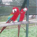 ���� *����*, ������������ - ��������� 24 ������� 2014