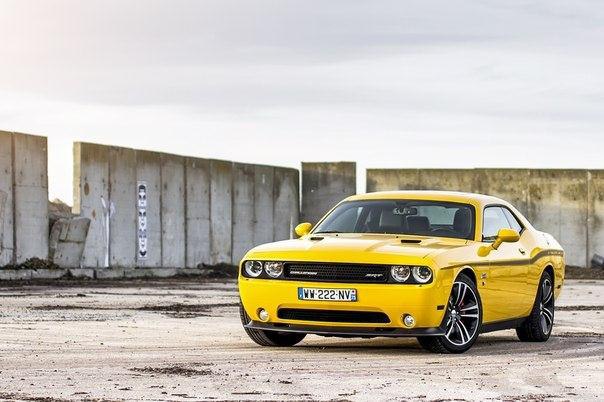 Dodge Challenger SRT8 Yellow Jacket | Nicolas Serre