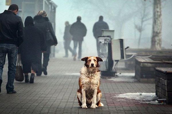 Самое страшное - это чувствовать себя никому не нужным.