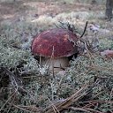 ���� �����, �����������, 58 ��� - ��������� 24 �������� 2014 � ������ ���� ����������