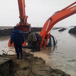 ���� ������, ���, 71 ��� - ��������� 1 ������� 2014