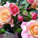 ���� ������, �����, 69 ��� - ��������� 15 ������ 2014 � ������ ������� �������