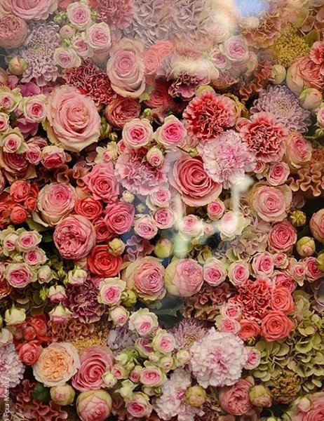 Не отвечайте злом на зло, иначе злу не будет конца. В ответ на обиду поцелуй врага своего, и ему ...