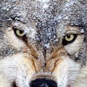 ���� �����, �������������, 47 ��� - ��������� 10 ������� 2014 � ������ ���� ����������