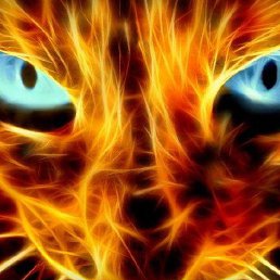 ����, �����-���������, 51 ���