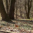 ���� ���������, ������, 49 ��� - ��������� 3 ������� 2014 � ������ ���� ����������