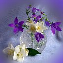 ���� �����, ��������� - ��������� 19 ������� 2014 � ������ ��� �� �����