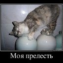 ���� �����, ������, 46 ��� - ��������� 25 ������� 2014 � ������ ������ ��������