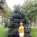  , - -  31  2014       2014