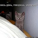 ���� �������, ��������-��-������, 48 ��� - ��������� 10 ������ 2014 � ������ ������ ��������