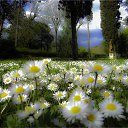 ���� �����, �����������, 58 ��� - ��������� 25 �������� 2014 � ������ ������ ��������