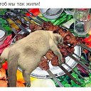 ���� ������, ���������, 46 ��� - ��������� 19 ������ 2014 � ������ ������ ��������