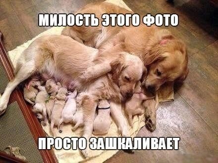 Art & Fun - 9  2014  16:28