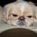 ���� ������, ������, 52 ���� - ��������� 24 ������� 2014 � ������ ���� ����������