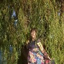 ���� �����, �������� - ��������� 8 �������� 2014 � ������ ������ ��������