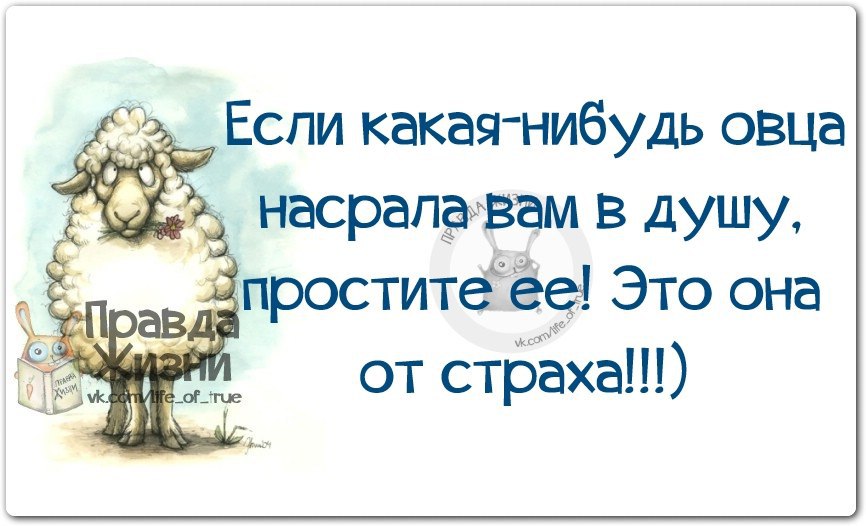 Люби себя и плюй на всех и в жизни ждет тебя успех картинки