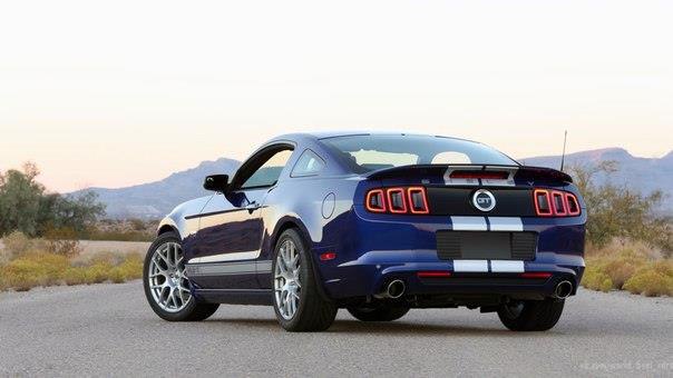 2014 Shelby GT - 4