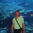 ���� ��������, �����, 64 ���� - ��������� 7 ������ 2014 � ������ ���� ����������