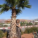 ������� 2014 ������� �� ������� ���� ����������