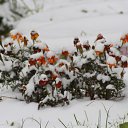 ���� ������, �������, 41 ��� - ��������� 18 ������� 2014 � ������ �������