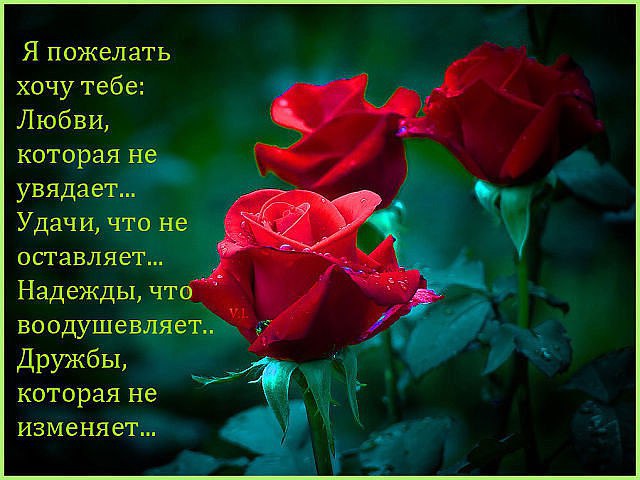 ��� ����� ���� �� ����� � ��������, �� ��������� ������ ��������� ������... � ��� � ����� ���������, ...