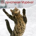 ���� ����������, ������, 49 ��� - ��������� 22 �������� 2014 � ������ ������ ��������