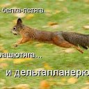 ���� �������, �����������, 32 ���� - ��������� 1 ������ 2014 � ������ ������ ��������