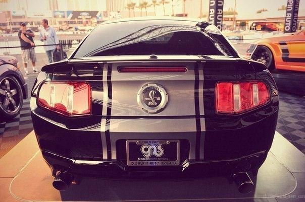 Ford Mustang Shelby GT500 - 7