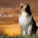 ���� �����, ��������� - ��������� 23 ������� 2014 � ������ ���� �����.�