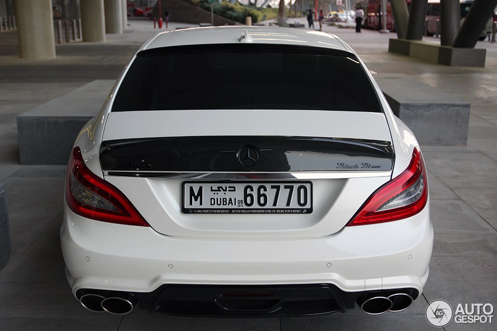 Mercedes-Benz Wald CLS 63 AMG C218 Black Bison Edition. -   . - 8