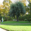 ���� �����, ���, 64 ���� - ��������� 5 ������� 2014 � ������ ���� ���������