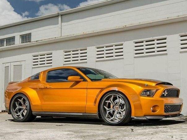 Shelby GT500 Super Snake - 5