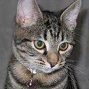 ���� ������, ������, 45 ��� - ��������� 7 ������� 2014 � ������ ���� ����������