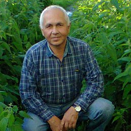 ���� Shamil, ��������, 67 ��� - ��������� 25 ������ 2014