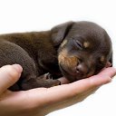 ���� ������, �����-���������, 68 ��� - ��������� 10 ������ 2014 � ������ ������ ��������