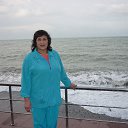 ���� . ������� 2014