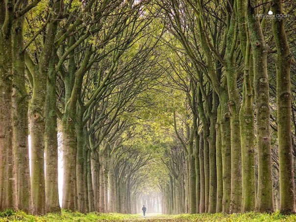  Lars van de Goor.