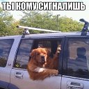 ���� ����, ��������, 50 ��� - ��������� 2 ������� 2014 � ������ �������........�