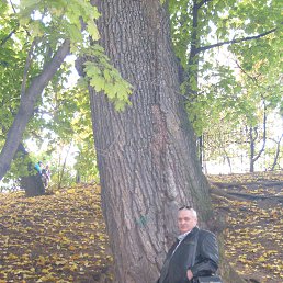 ���� ���������, ������ - ��������� 4 ������� 2014